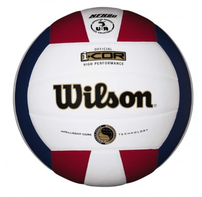 Wilson I-Cor Hi Performance Indoor Ball (WTH7700XR) - Forelle American Sports Equipment